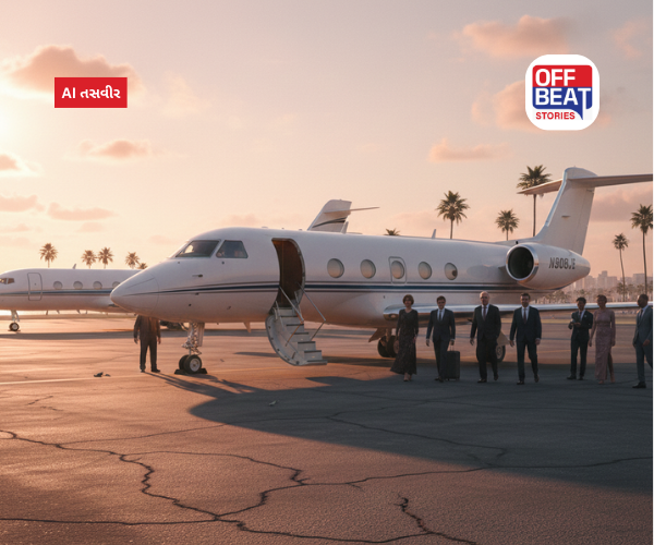 કેટલા રૂપિયામાં મળે છે એપસ્ટીન જેટની ટિકિટ?