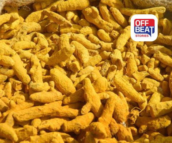 સોનેરી મસાલાનો સોનેરી વિકાસ