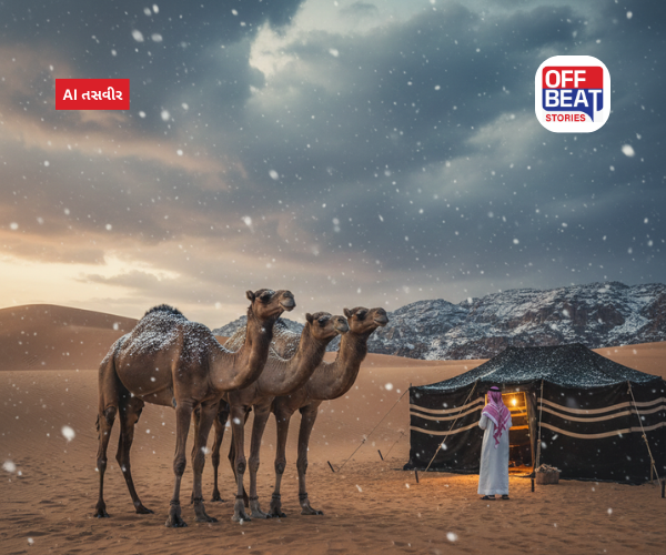 સાઉદી અરેબિયાના રણમાં હિમવર્ષા પાછળનું કારણ શું?