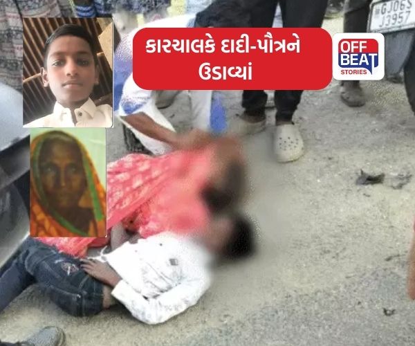 વડોદરા NH-48 પર ગમખ્વાર અકસ્માત