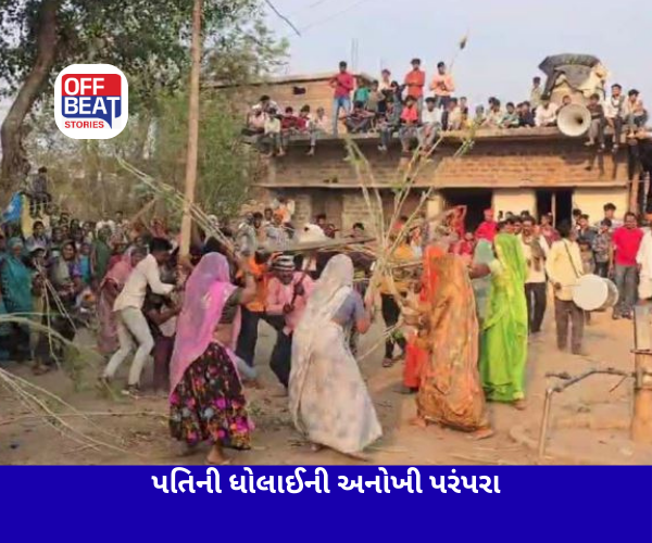 પત્નીઓ લાકડીથી કરે છે પતિની ધોલાઈ