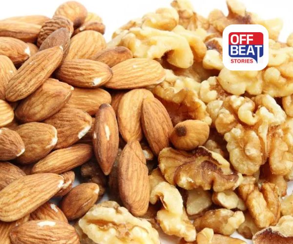 બદામ કે અખરોટ?: કમ્પ્યુટર જેવી યાદશક્તિ માટે કયું ડ્રાયફ્રૂટ સૌથી શ્રેષ્ઠ, જાણો સેવનની સાચી રીત