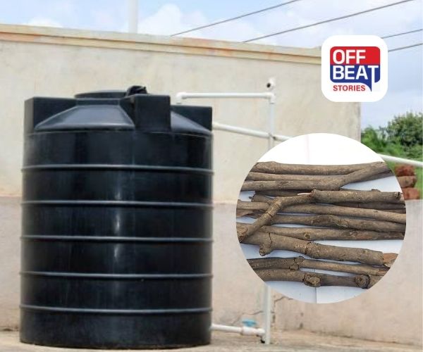 પાણીની ટાંકીમાં મૂકો અને ભૂલી જાઓ શેવાળ-ગંધની ચિંતા!: આ લાકડાના ટુકડાથી પાણી બનશે સુપર ક્લીન, આજે જ અજમાવો આ ગુપ્ત દેશી જુગાડ!