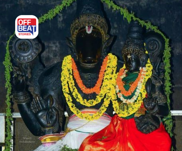 પ્રોપર્ટીના વિવાદોથી છો પરેશાન?