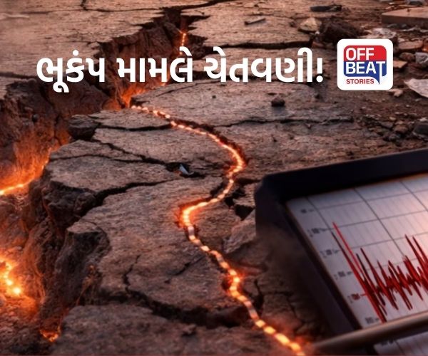 ગુજરાત એલર્ટ! 30 કલાકમાં 24 વાર ધરતી ધ્રુજી?