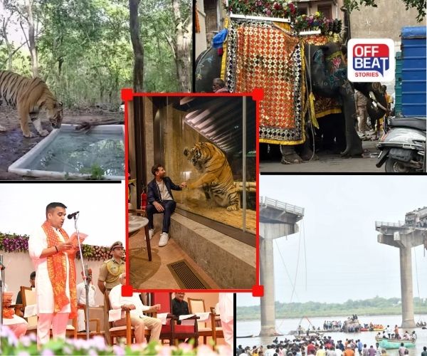 2025માં મન-મગજ પર છવાઈ ગુજરાતની આ 5 તસવીરો!