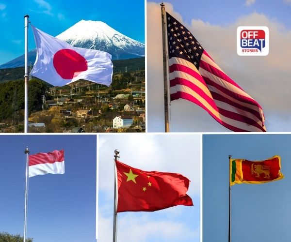 ગુજરાતના “કાયપો છે”થી અમેરિકાના આકર્ષક પતંગો સુધી