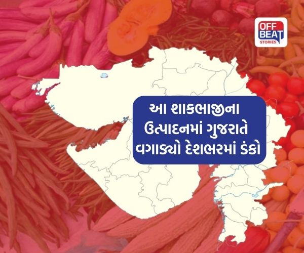 ગુજરાત આ શાકભાજીના ઉત્પાદનમાં દેશભરમાં અગ્રેસર