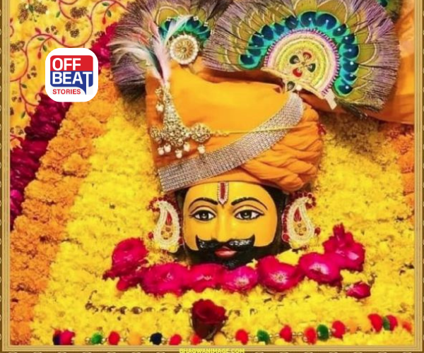 વિદેશી ફૂલો અને 11 હજાર ડમરુઓથી સજ્યો ખાટુ શ્યામનો દરબાર