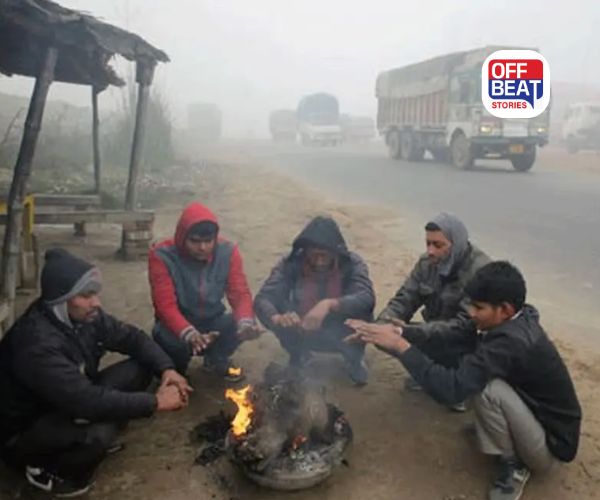 અમદાવાદ સહિત ગુજરાતમાં ઠંડી 'કાળજું કંપાવશે'!