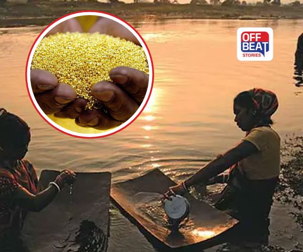ભારતમાં અહીં વહે છે સોનાની નદી!