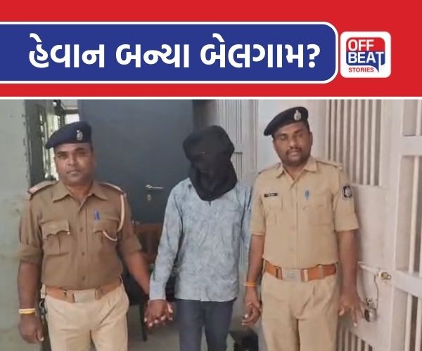 કડાણામાં સગીરાની છેડતી અને દુષ્કર્મનો પ્રયાસ