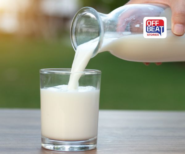 Identify Purity Of Milk: પેકેટવાળું દૂધ ભેળસેળવાળું છે કે નહીં? ઘરે અજમાવો આ સરળ ટિપ્સ, મિનિટમાં ખબર પડી જશે