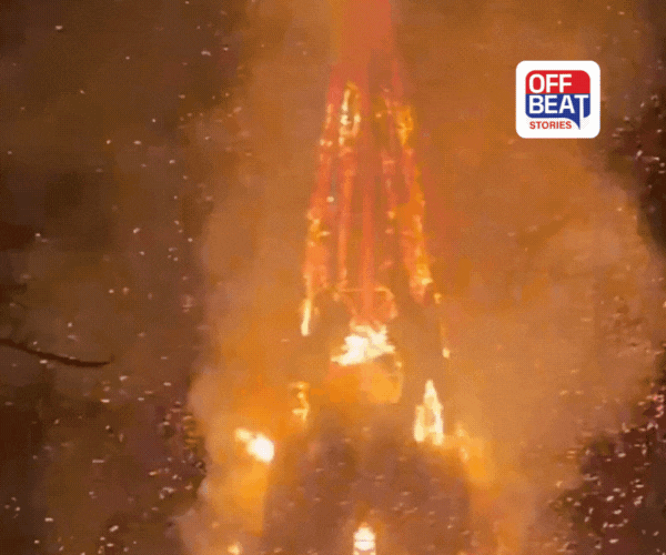 નવા વર્ષની ઉજવણી વચ્ચે આગનો કહેર