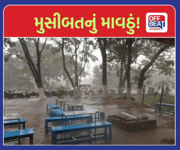 નવસારીના મરોલીમાં કમોસમી કમઠાણ!