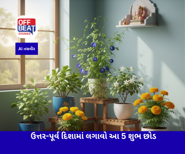 ઘરની ઉત્તર-પૂર્વ દિશામાં લગાવો આ 5 શુભ છોડ