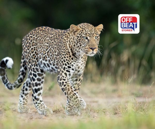 કર્ણાટકમાં ગેરકાયદેસર બ્લાસ્ટિંગનો કહેર