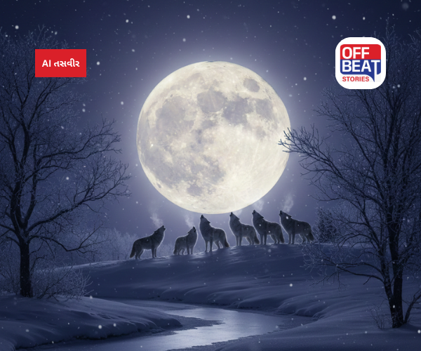 2026ની પ્રથમ પૂર્ણિમાએ જોવા મળશે વુલ્ફ મૂન