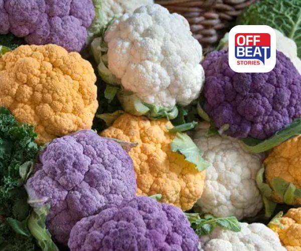 ખેડૂતોને અમીર બનાવતો જાદુઈ પાક!