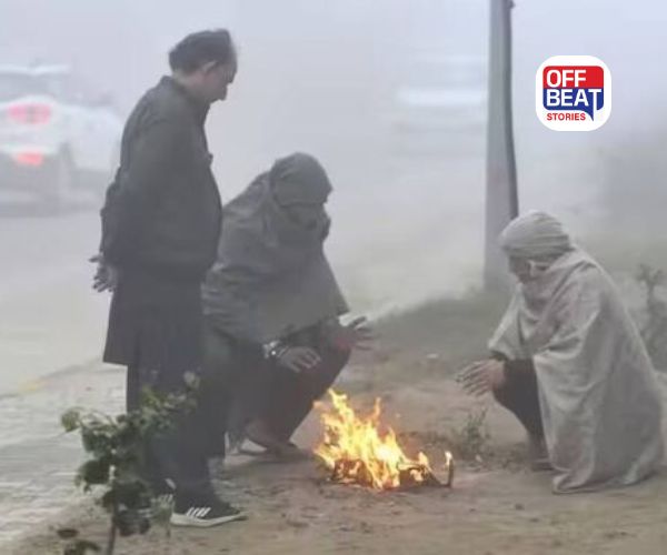 કચ્છમાં કાતિલ ઠંડીનું મોજું