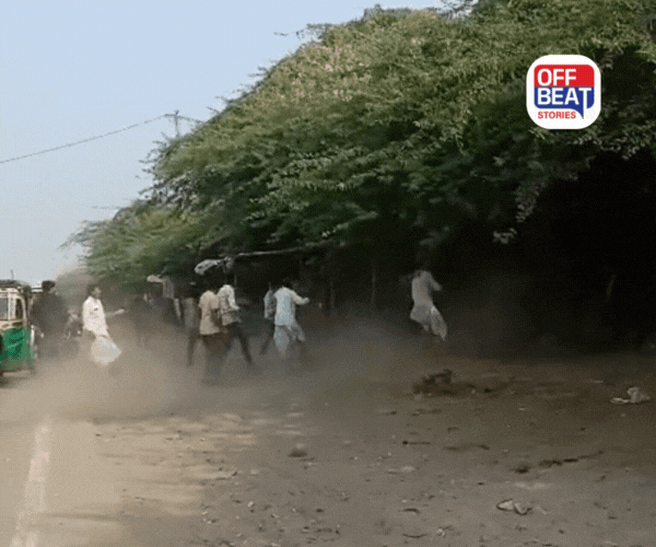 વડોદરાના સોમાતળાવ બ્રિજ પાસે જાહેર માર્ગ પર યુદ્ધનું મેદાન