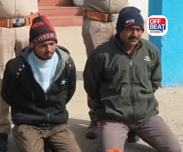 વાવ થરાદમાં ડ્રગ્સ વિરોધી અભિયાન હેઠળ મોટી કાર્યવાહી