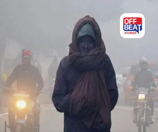 ઉત્તર ભારતમાં હાડ થીજાવતી ઠંડી અને હિમવર્ષાનો કહેર