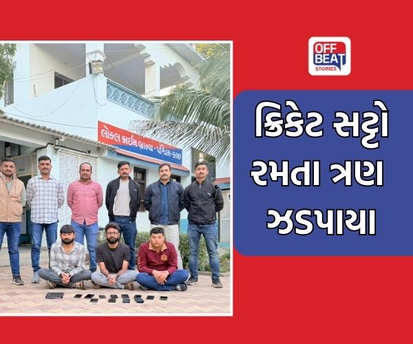 માધાપરમાં ક્રિકેટ સટ્ટો રમતા ત્રણ ઝડપાયા