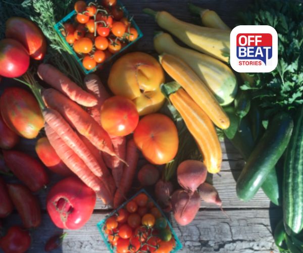 ખેડૂતો માટે નસીબ બદલવાની સુવર્ણ તક!