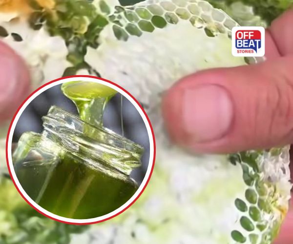 સોના-ચાંદી કરતા પણ મોંઘું છે આ 'લીલું મધ'