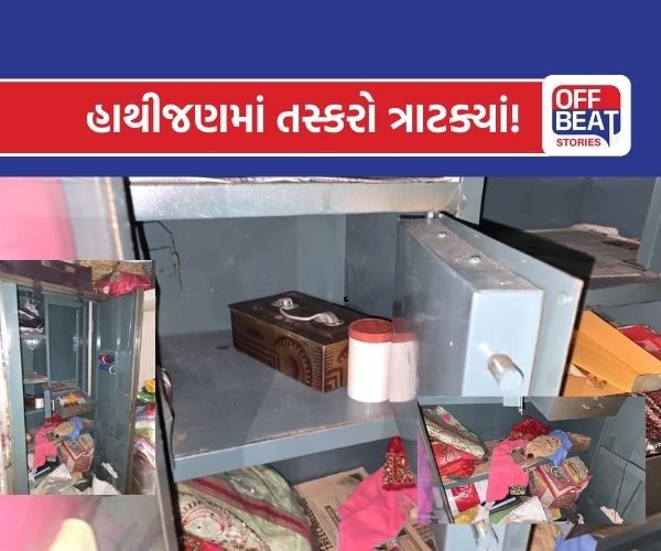 અમદાવાદના હાથીજણમાં તસ્કરોનો આતંક!