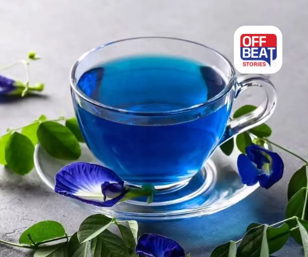 વાદળી ફૂલોની ખેતીથી બનો લાખોપતિ!