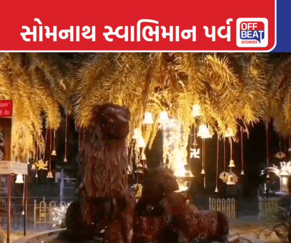 સોમનાથ સ્વાભિમાન પર્વની તૈયારીઓ પૂર્ણ