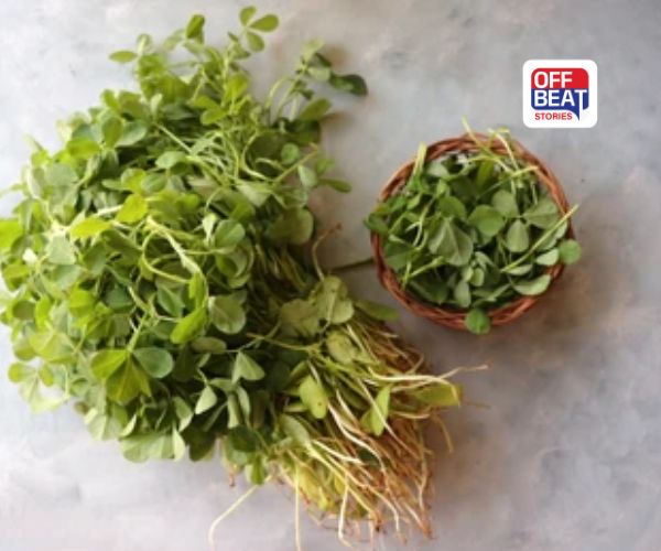 મેથીની ઝૂડી સાફ કરવામાં કંટાળો આવે છે?: રસોડાની આ વસ્તુથી મિનિટોમાં થઈ જશે સાફ, આજે જ અજમાવો આ સરળ ટિપ્સ