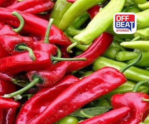 Benefits of green and red chilies: લીલું મરચું કે લાલ? કયું તમારા માટે બેસ્ટ? જાણો સત્ય!