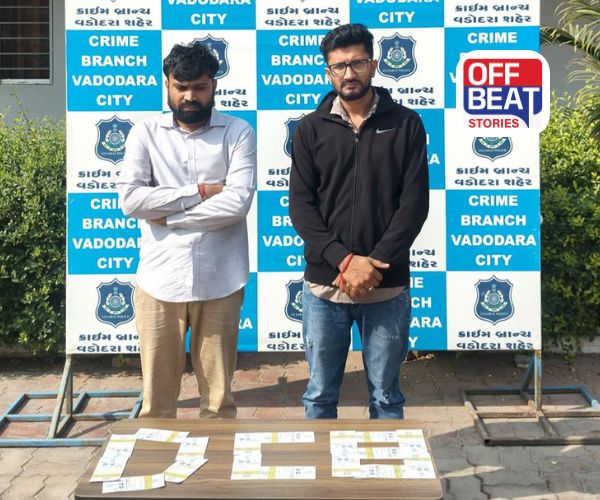 વડોદરામાં ભારત-ન્યૂઝીલેન્ડ મેચની ટિકિટોની કાળાબજારીનો ખુલાસો!