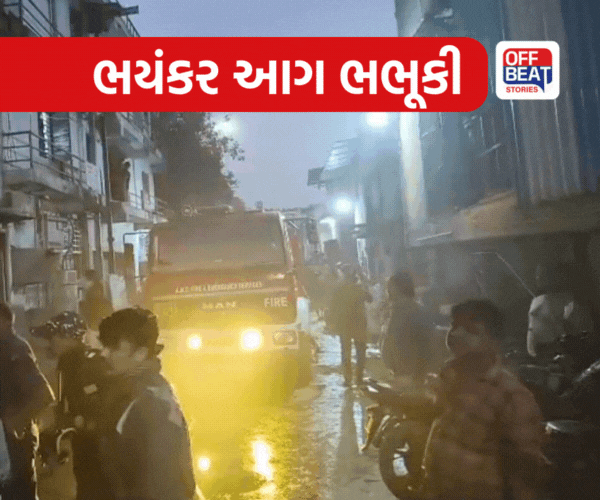 અમદાવાદના અંબિકા એસ્ટેટમાં આગ લાગતા અફરાતફરી