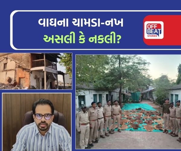 રાજપીપળામાં મળેલા વાઘના ચામડા-નખ અસલી કે નકલી?