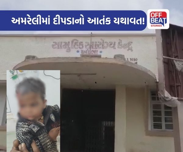 અમરેલીના ખાંભામાં 2 વર્ષના બાળક પર દીપડાનો હિંસક હુમલો