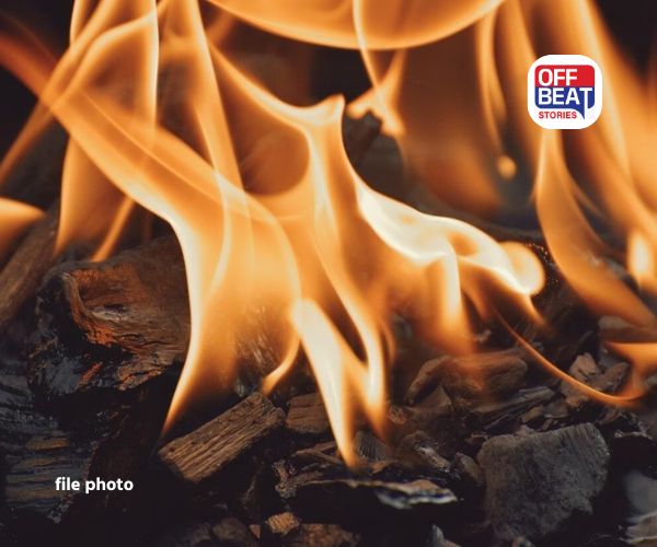 દિલ્હીમાં એક ભંગાર યાર્ડમાં લાગી ભીષણ આગ