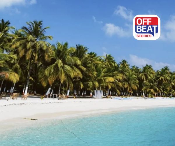 કયા સ્થળને કહેવાય છે ભારતનું 'Coconut Islands'?: છુપાયેલી છે માલદીવને પણ ટક્કર આપે તેવી અદ્ભુત સુંદરતા! જાણો સંપૂર્ણ હકીકત