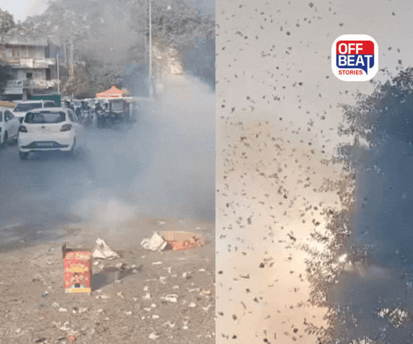 મહારાષ્ટ્રમાં BJP ની ઐતિહાસિક જીતનો પડધો ગુજરાતમાં