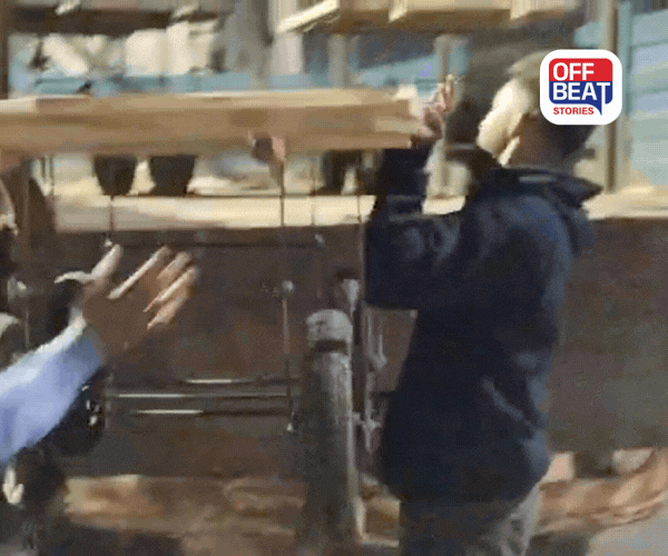 વડોદરાના સુરસાગર વિસ્તારમાં દબાણ હટાવ ઝુંબેશમાં ભારે હોબાળો!