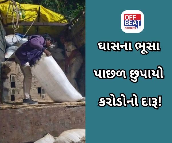 મહીસાગર LCBની મોટી કાર્યવાહી