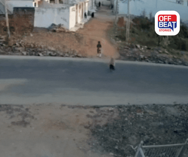 સિદ્ધપુરના કોકાશી ગ્રામ્ય વિસ્તારમાં બન્યો ભયાનક અકસ્માત