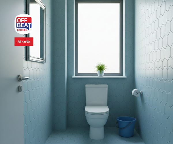 ઘરના શૌચાલયમાં કરેલી એક ભૂલ કરાવી શકે છે મોટું નુકસાન