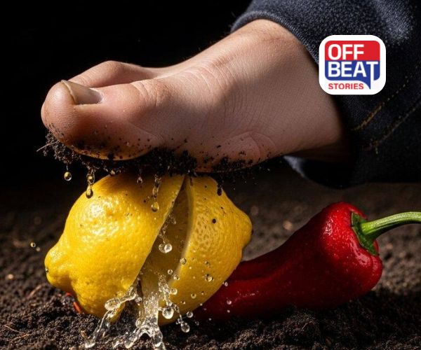 અશુભ નિશાનીઓ રસ્તા પર!