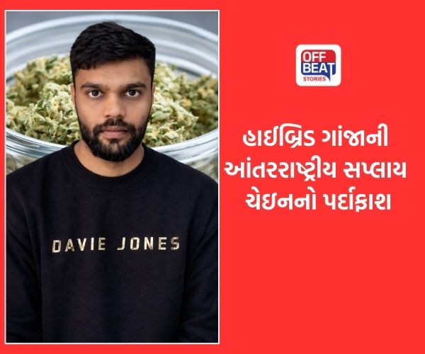 થાઈલેન્ડથી ગુજરાતમાં હાઈબ્રિડ ગાંજાની હેરાફેરીનો પર્દાફાશ