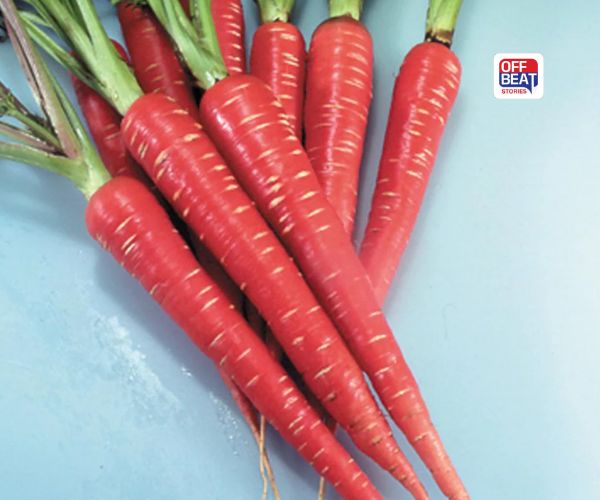 શરીર માટે રામબાણ છે આ લાલ વસ્તુ!: આના સેવનથી આંખોથી લઈને હૃદય સુધી આપશે અનેક ફાયદા, જાણો કેવી રીતે કરવું સેવન