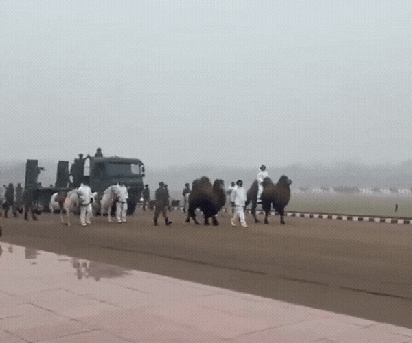 ગણતંત્ર દિવસે જવાનો સાથે ભારતીય સેનાના અનોખા 'સિપાહી'ઓની પરેડ